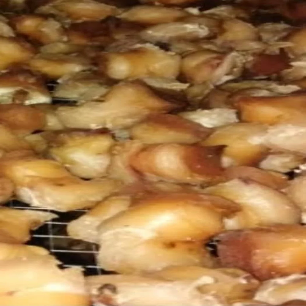 
Dried Conch-Frozen Conch-Dried Conch Meat Wholesale Delicious Good Quality Seafood Snacks 