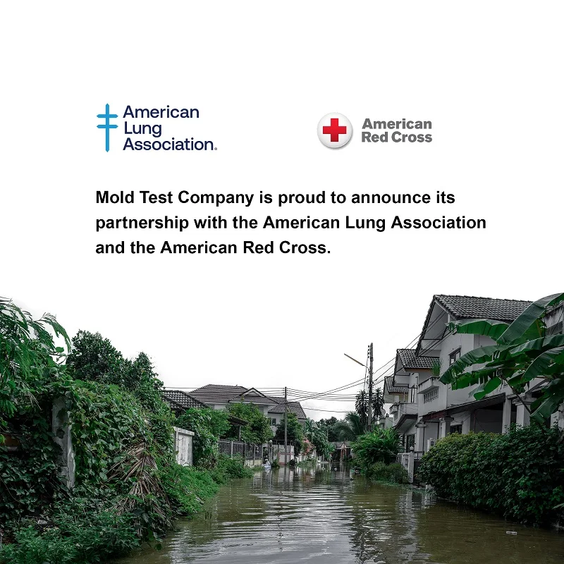 Набор для испытания формы «сделай сам» профессиональный набор испытаний до 10 мест простого тестирования воздуха и токсинов с лабораторным анализом