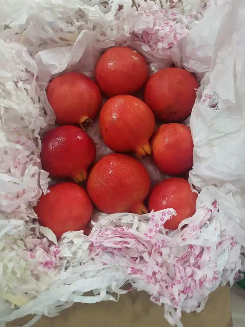 Свежий стандартный гранат экспортируется из индии