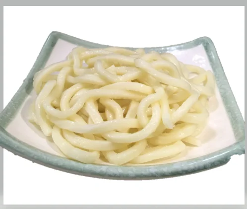 udon noodles
