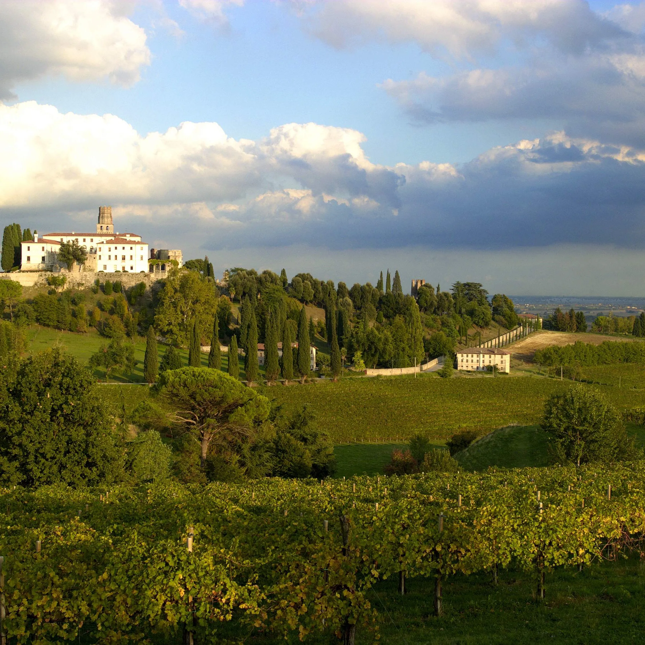 Сделано в Италии бутылка для красного вина MERLOT PIAVE DOC 0 75 Л стеклянная
