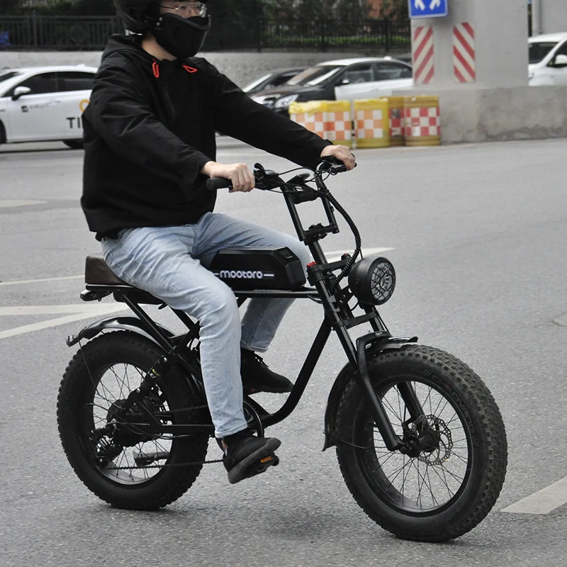 High Quality Custom 500W Motor Dirt Tire Style Off Road Ebike Vintage Beach Electric Bike