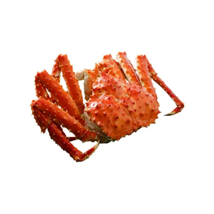  Alive Red King Crab for Sale