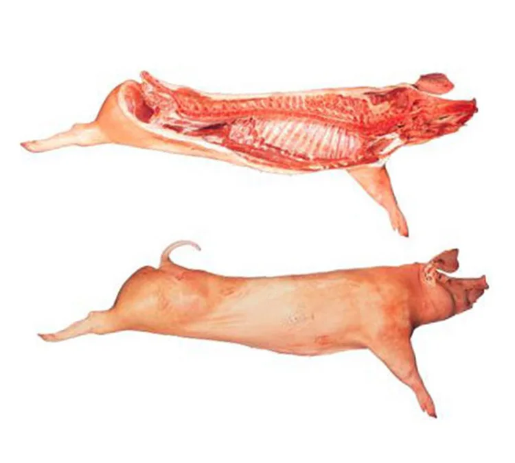 Brazilian Frozen Pork Trust Supplier