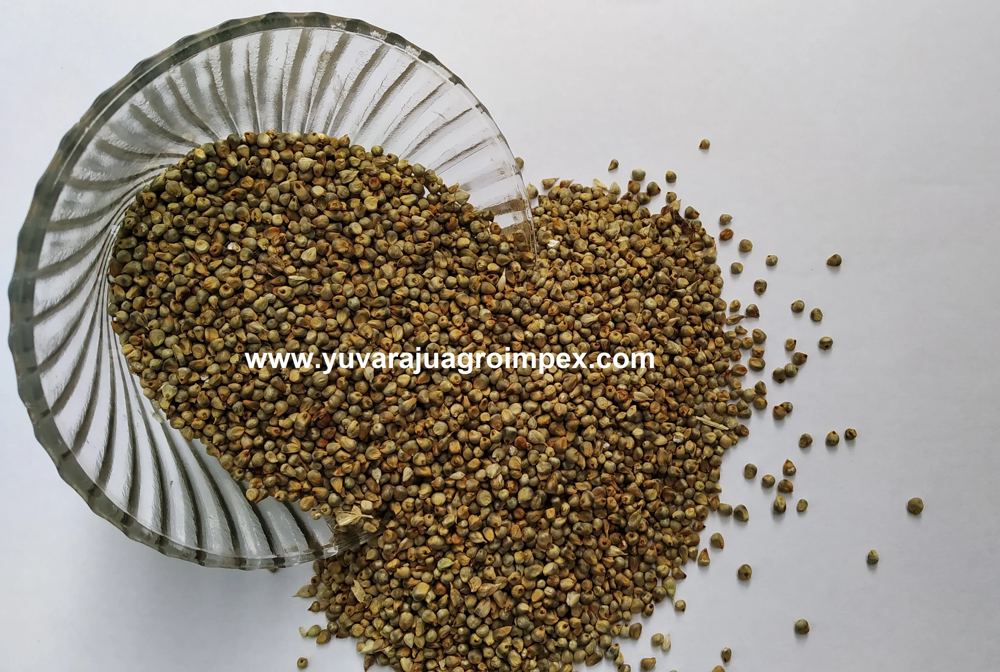 
Pearl Millet Seed/ Best Quality Millet Export in India 