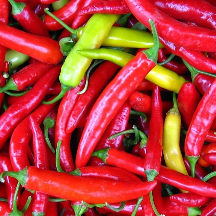 Оптовая продажа, свежий перец чили, ГОРЯЧИЙ острый красный свежий перец чили, низкая цена, вьетнамское сельское хозяйство