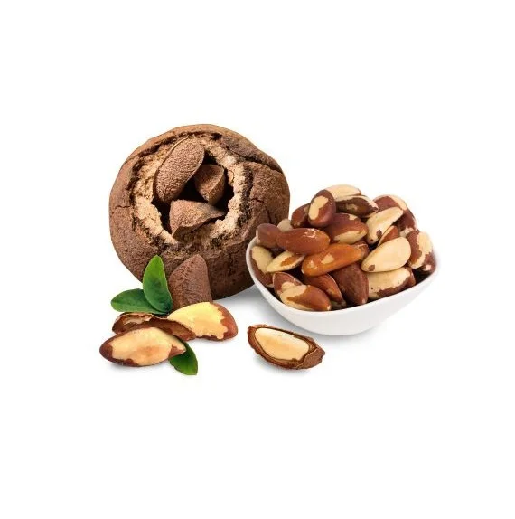 
 Best Wholesale Manufacturer Of Organic Brazil Nuts available Here Fresh Stock In bulk With Fast Delivery  