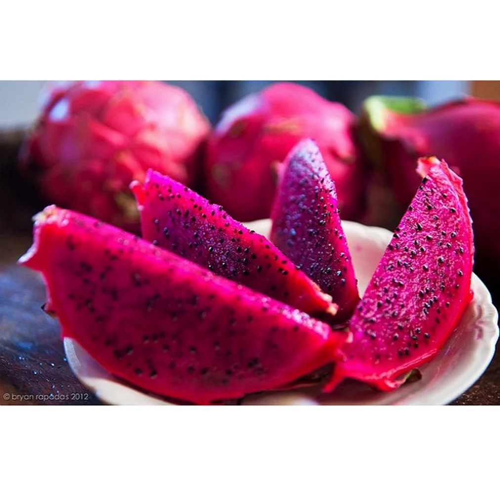 
High quality 100% Fresh Dragon Fruit Form VietNam 