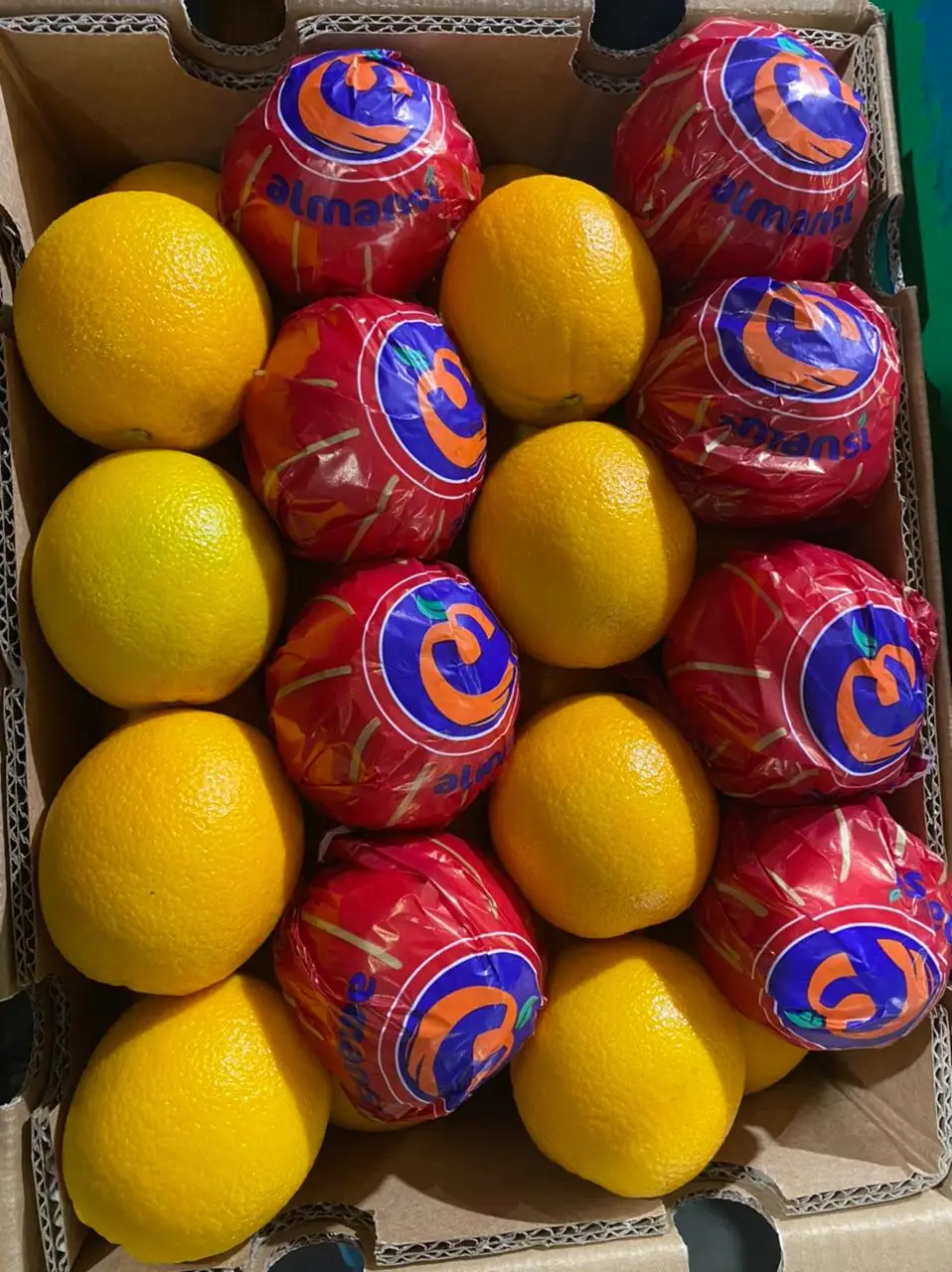 Fresh Valencia orange готова к экспорту сезон 2022 во