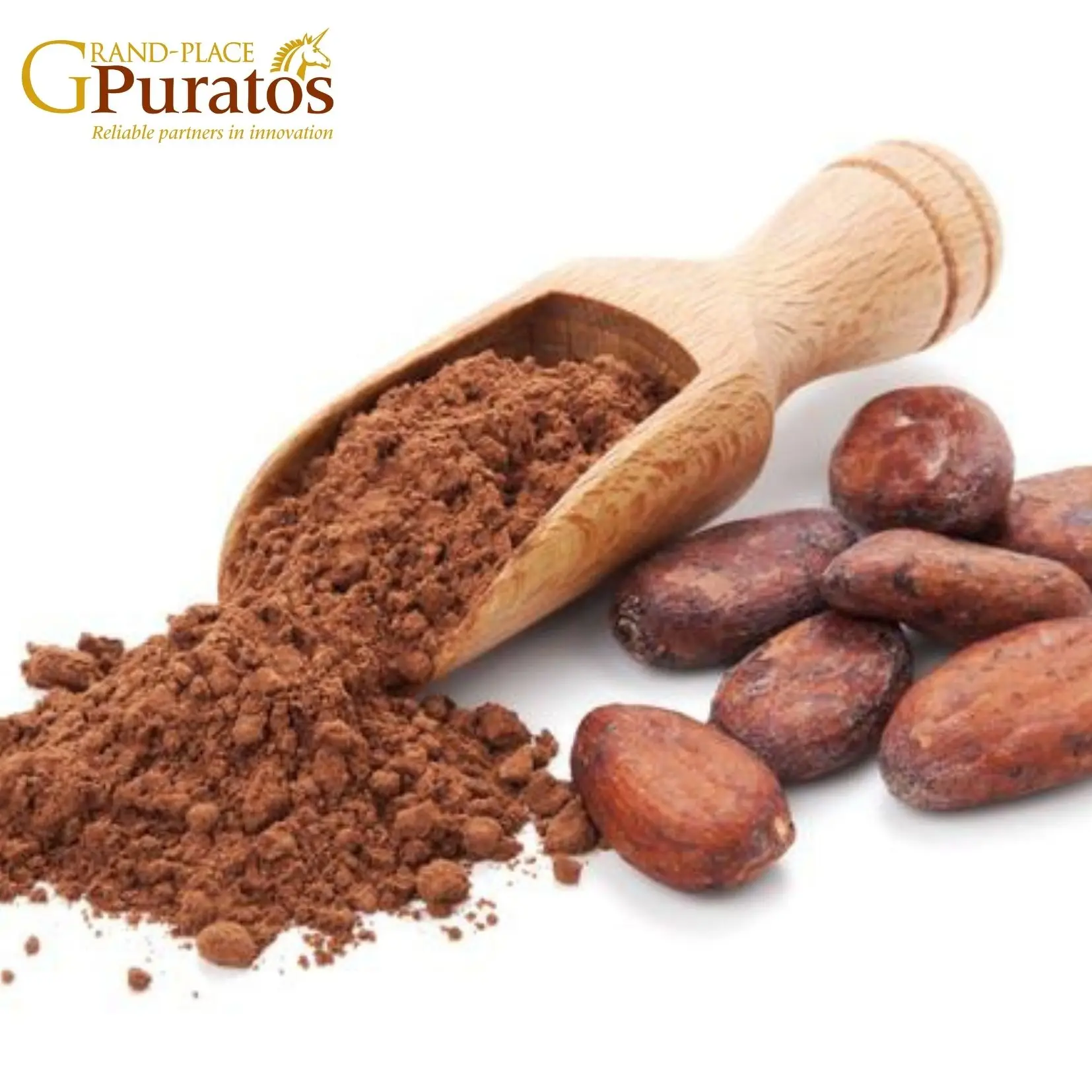 Unsweetened HALAL cocoa powder - Vietnam Origin
