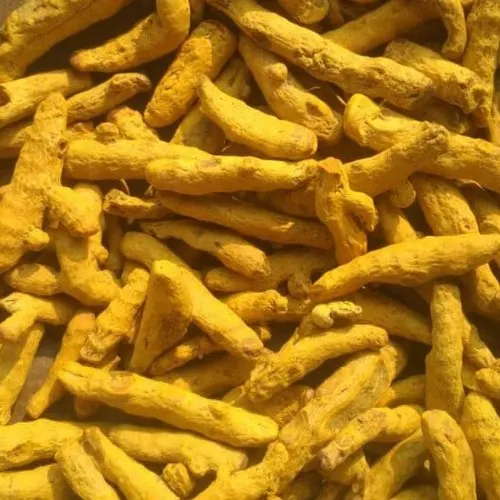 Пальцы куркумы Премиум-Качества лучший гигиенический и полезный индийский производитель экспортер сухих специй