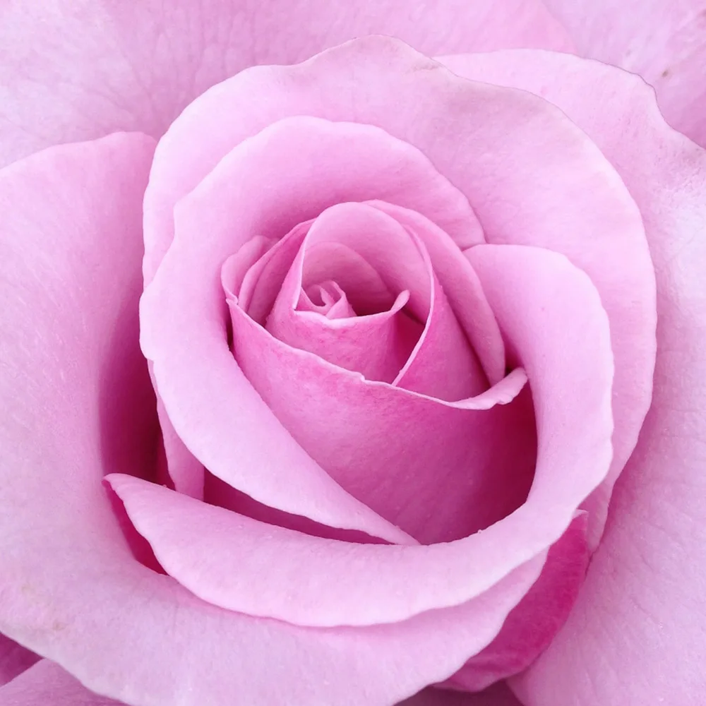 Peeling gel with your own private label has whitening and anti-aging effects, and you can choose your favorite fragrance.