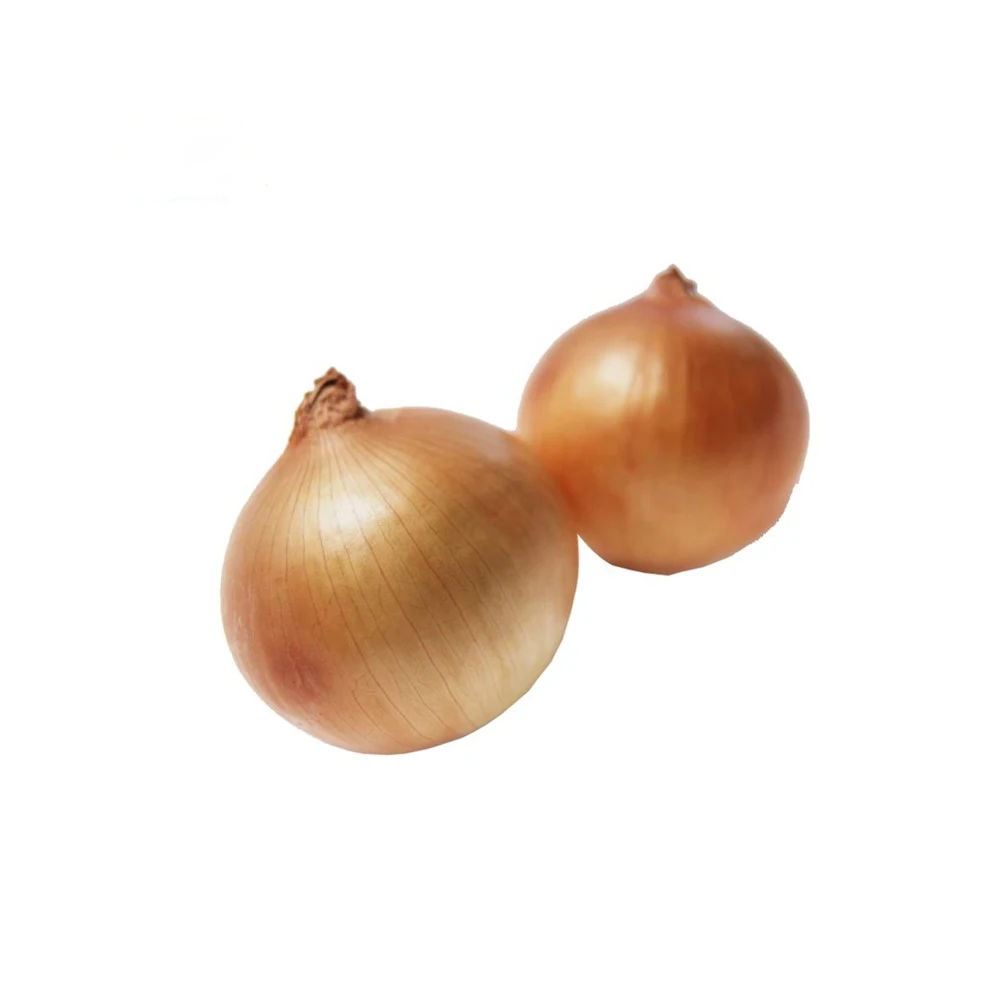 Top Quality fresh organic onions whloesalers Fresh Red Onion