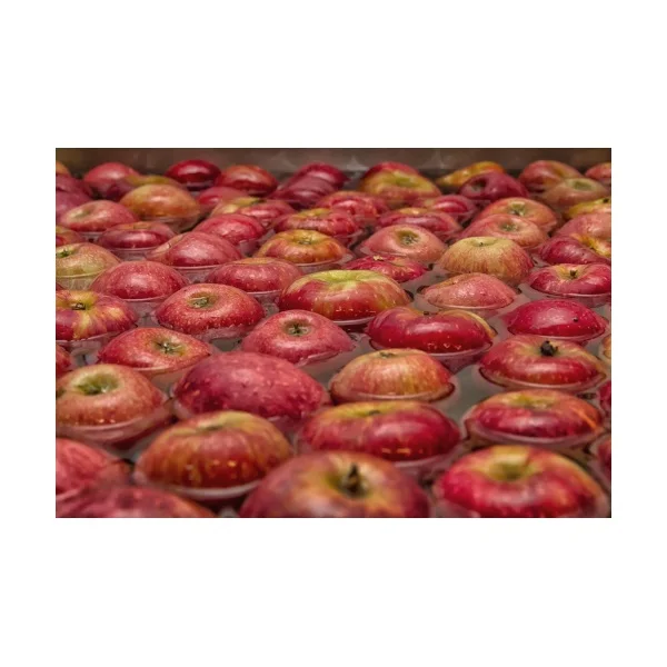  Свежие яблоки fuji с красной звездой для оптовой продажи