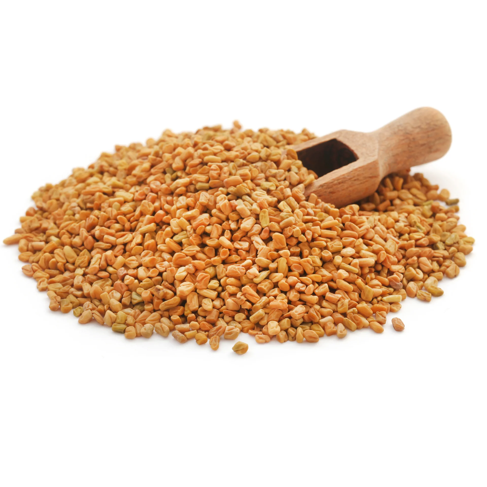 Fenugreek Seeds - Highest Quality