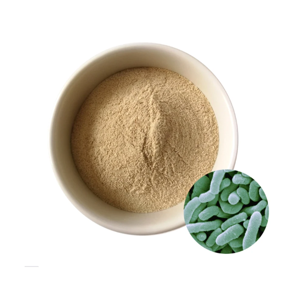 Exporter of High Quality Lactobacillus Acidophilus Probiotic - Zealmax Biopharma