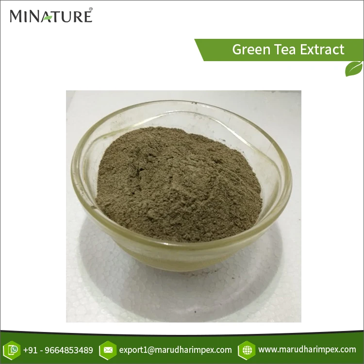 Manufacturer & Exporter of Excellent Quality 50% Green Tea Extract Herbal Powder at Genuine Wholesale Price