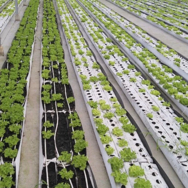 Hot selling Organic Coco Peat Grow Bag for Commercial greenhouse planting Coir Flat grow bag manufacturer from Vietnam