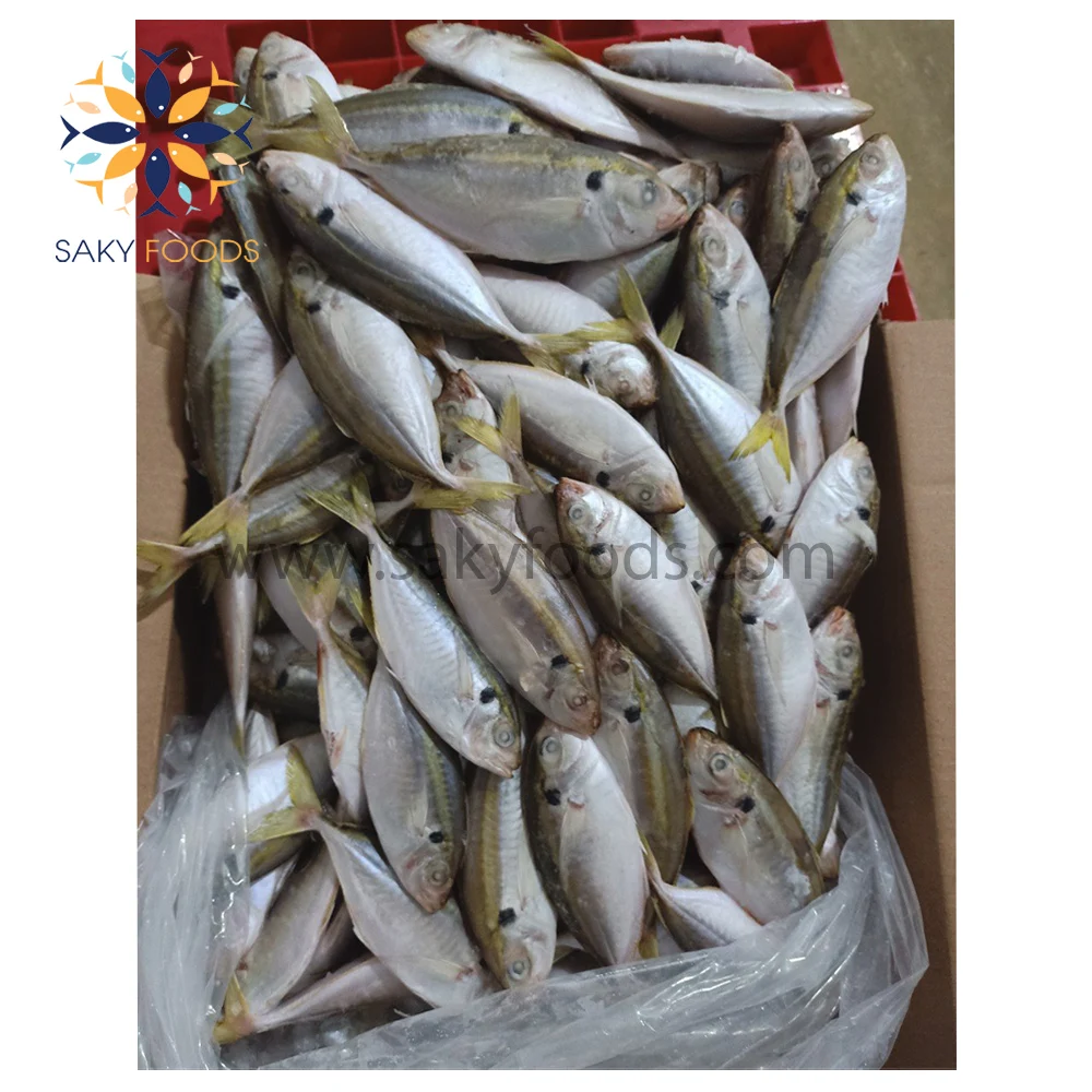 Wholesale Frozen Yellow Stripe trevally fish with sale good price