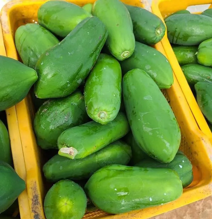 Свежие и приятные фрукты папайи высокого качества