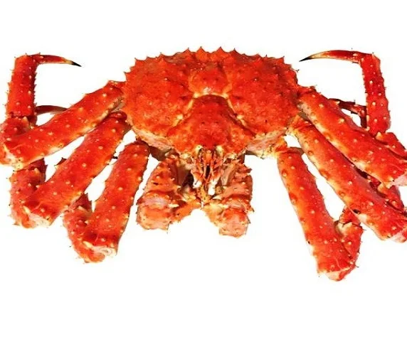 
Cheap Frozen King Crabs Prices 