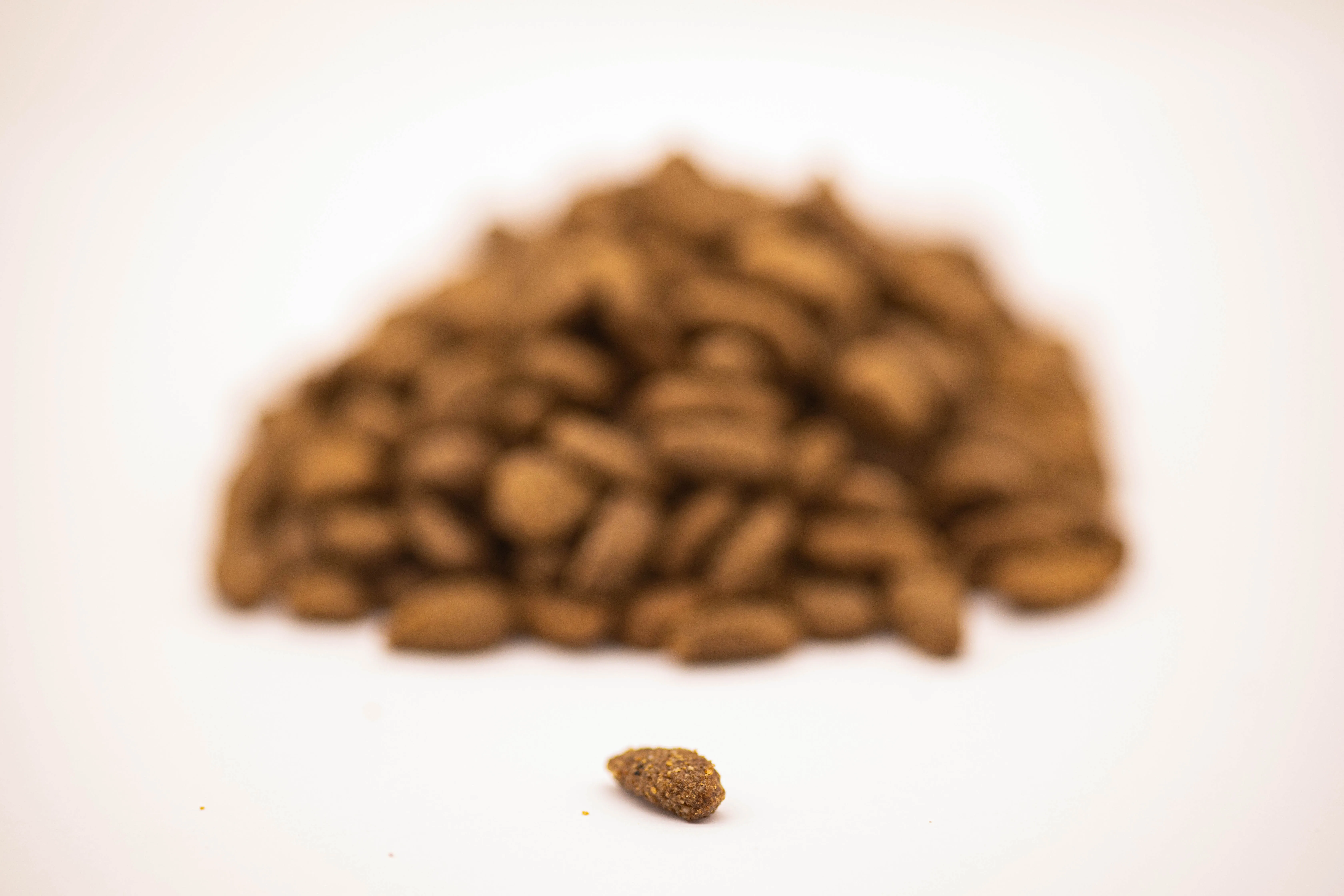 Italian Products Rice Fish Content Dry dog Food Ideal for Small Adult Dogs
