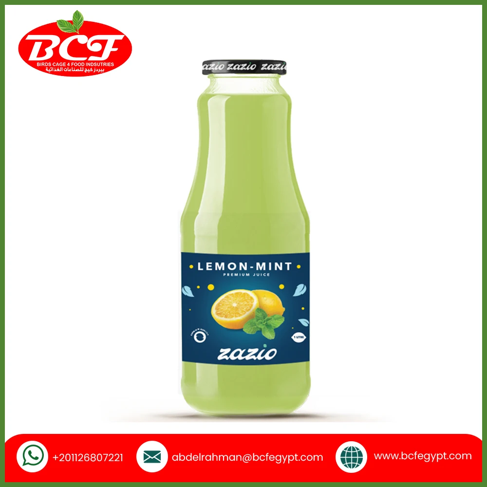 Good Quality Wholesale Factory Price Zazio Lemon Mint Juice Nectar 1 Litre