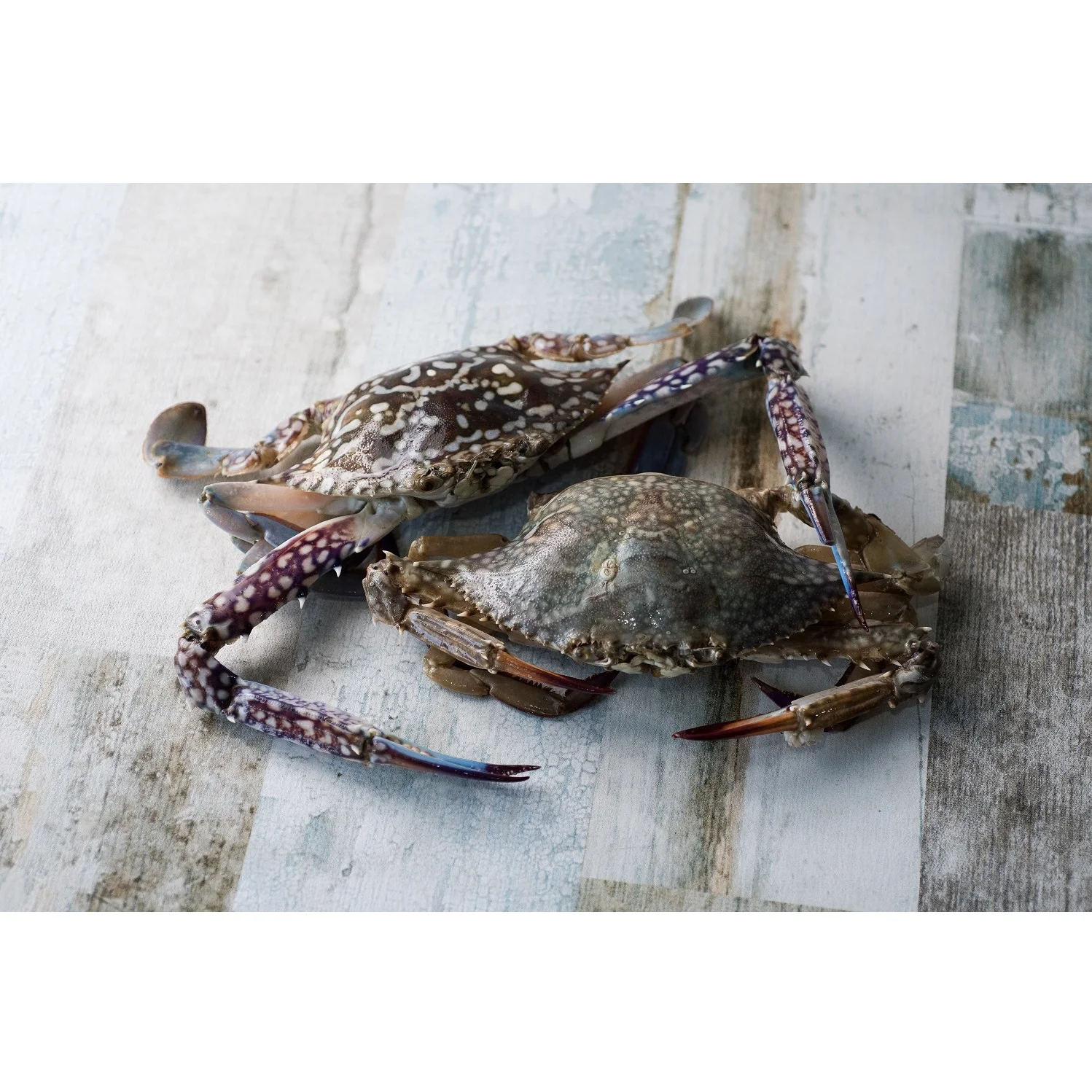 Оптовая продажа вкусные свежие морепродукты с замораживанием взрыва (60-80 г/шт.) IQF 1 кг/коробка полностью замороженный синий плавучий краб