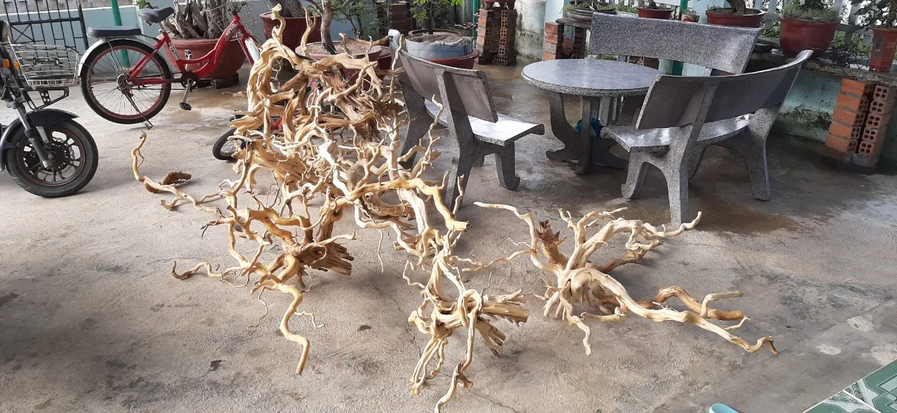 Hot Design 2024 Natural Trunk Driftwood Tree for Aquarium Fish Tank Decoration Ornament WhatsApp +84 963 949 178