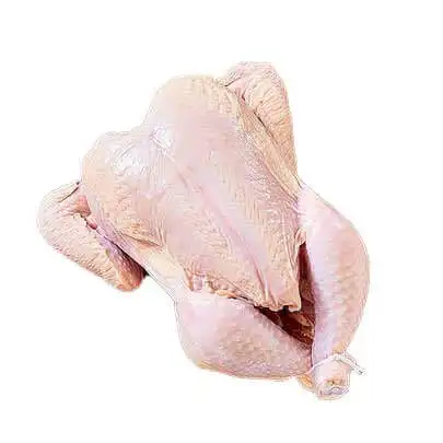 Cheap Rate Wholesale Best Whole Halal Frozen Chicken For Sale In bulk