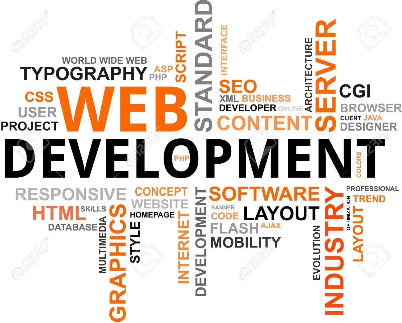 Eyewear Website Design and Development E-Commerce Website Development Low Cost Website Development