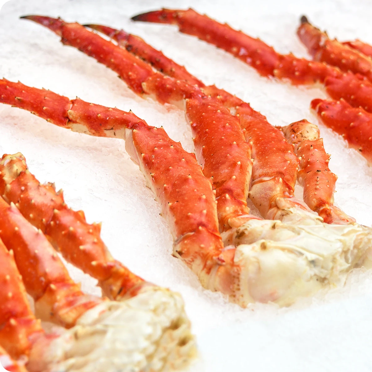 Frozen King Crab,Live King Crabs,King Crab Legs