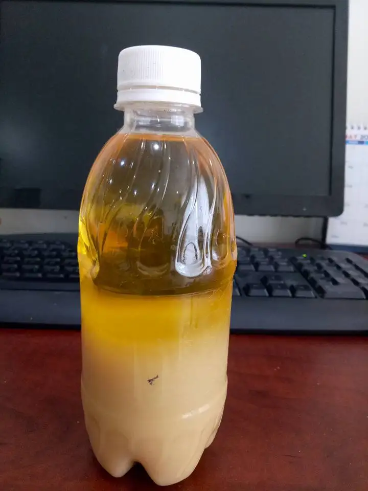 Лучший продавец! Лучшая цена на Рыбное масло из Вьетнама