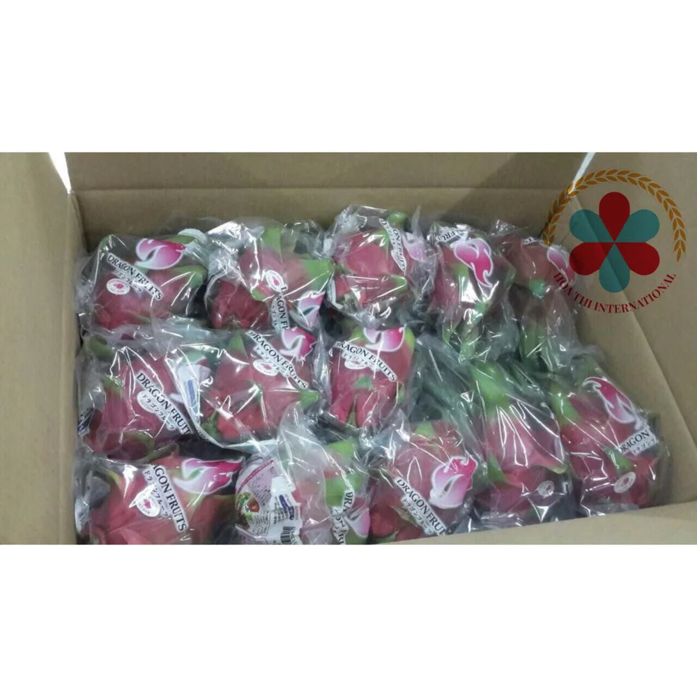 High quality  Fresh Dragon fruit From Vietnam With  Competitive Price for Japan market and European market