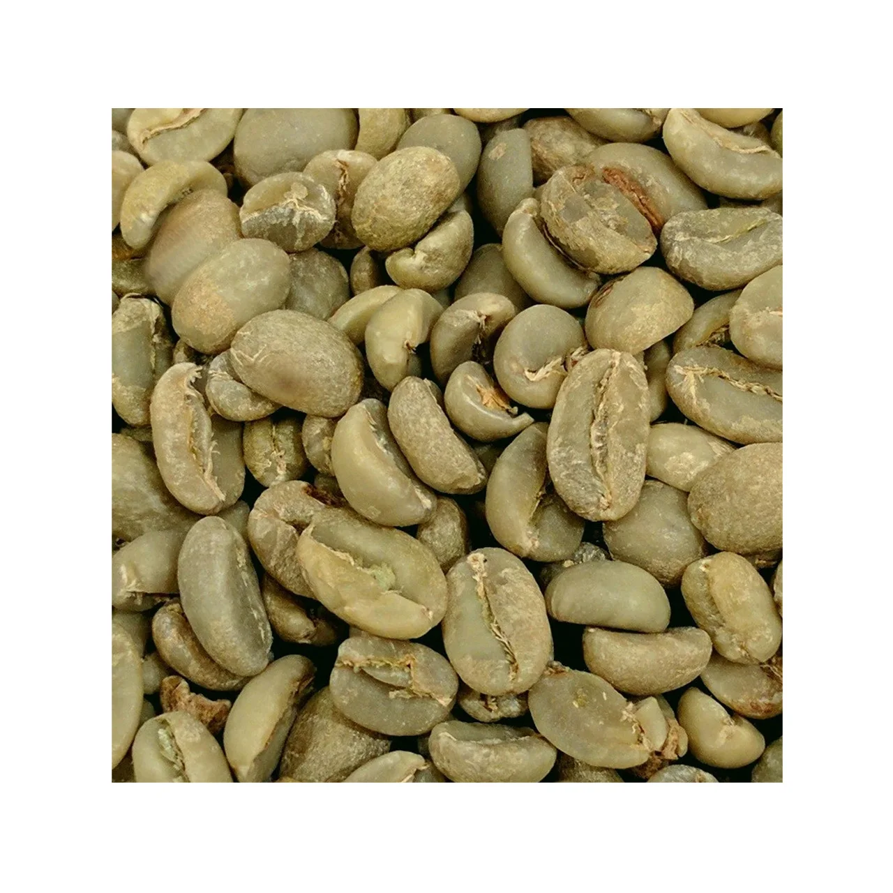 
Hot Sale 2020 Organic Ground Made in Vietnam Organic Products Whole Bean Coffee Arabica Coffee Beans 