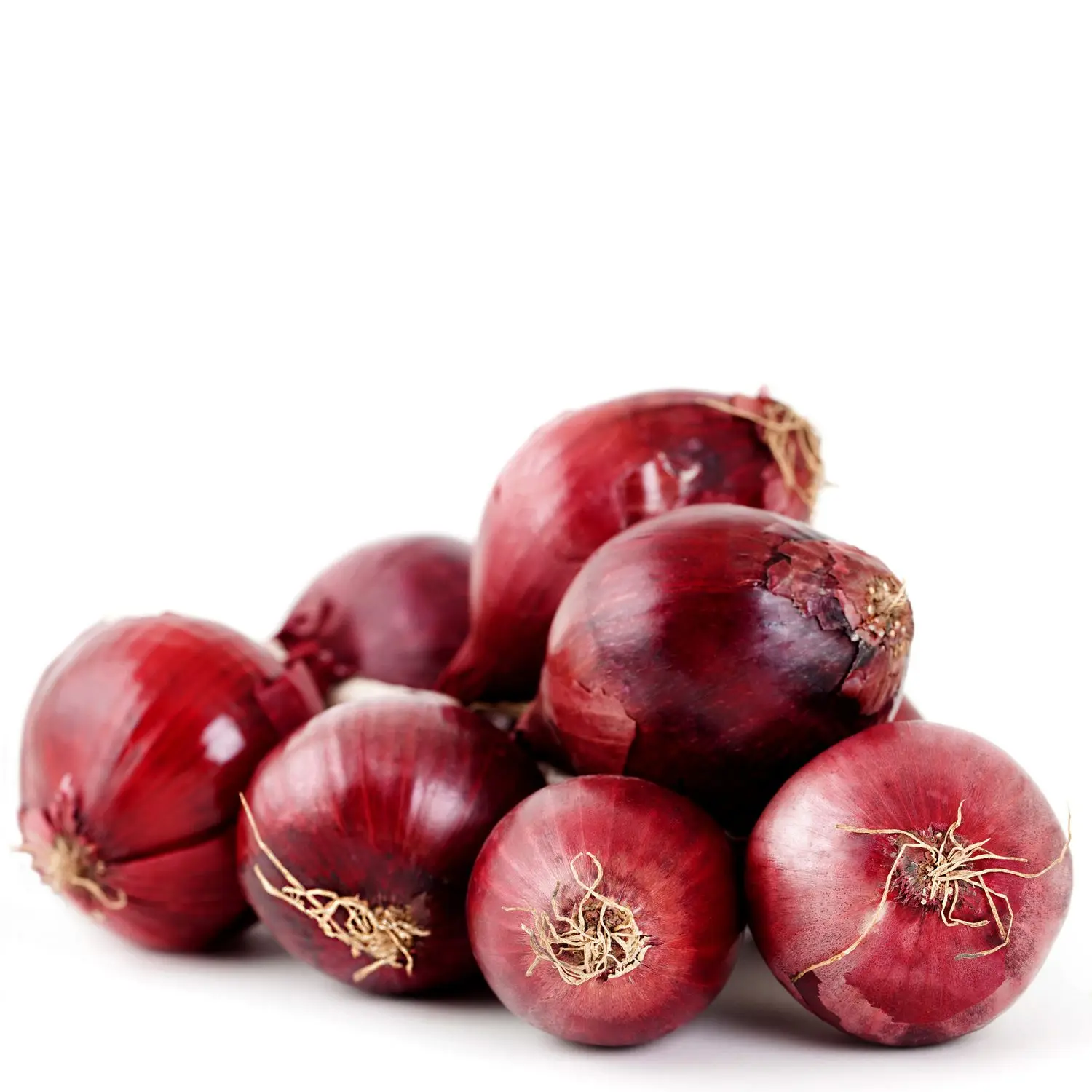 Onions Price Ton New Crop 20kg/25kg per bag, 5-7cm/6-8cm / Big Onion for Export
