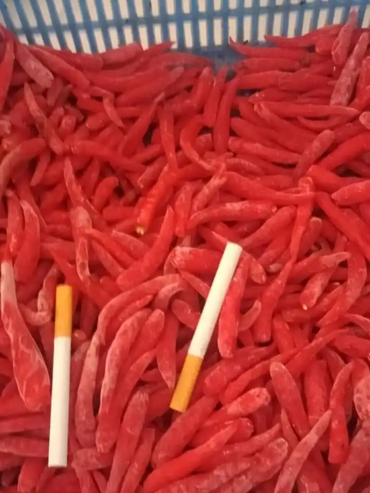 Frozen red  Pepper for export contact +84984418844