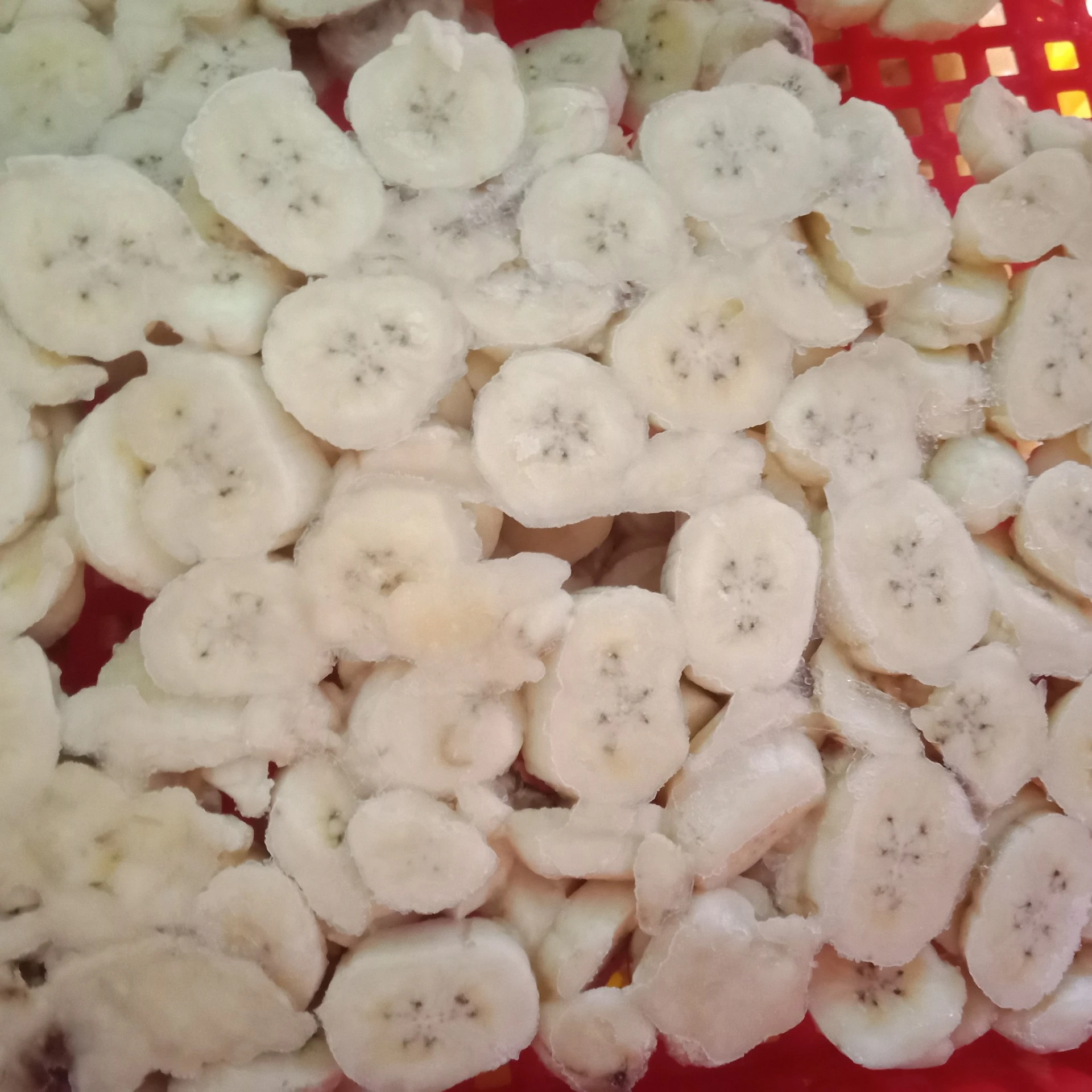 FROZEN BANANA FOR SMOOTHIE / IQF Frozen Banana Slices