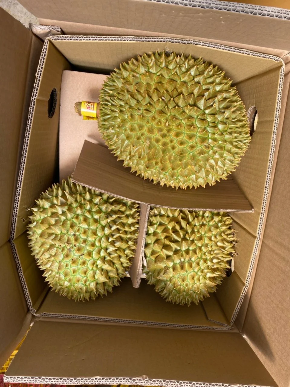 Вьетнам лучший дуриан Ri 6 Замороженные Свежие стили сладкий вкус сильный аромат с плоскими маленькими семенами
