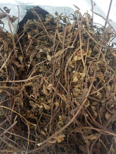  Желе для сушеной травы по лучшей цене органическое сушеное черное травяное желе