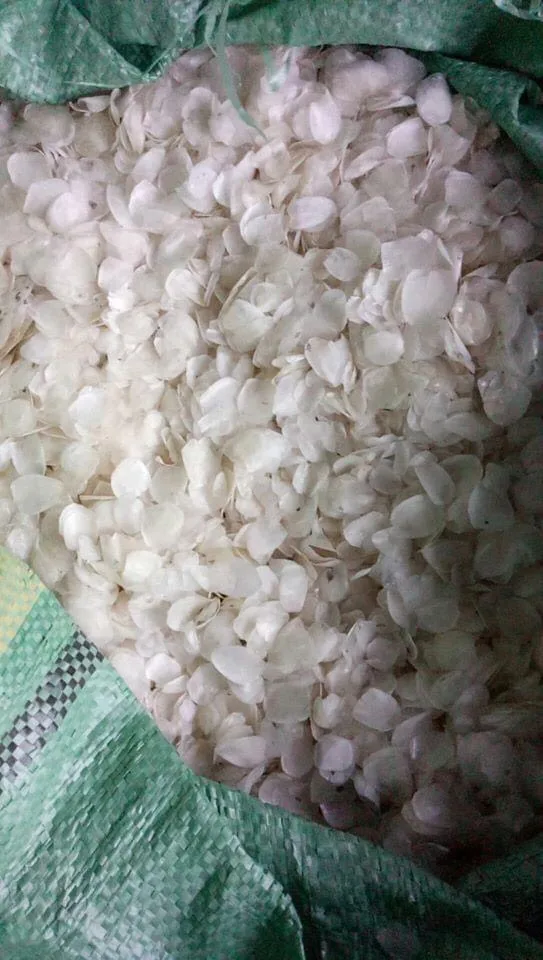 Производство коллагеновых рыбных чешуек оптом чешуевые чешуи для рыбы из Вьетнама Экспорт Китая Кореи Японии ....