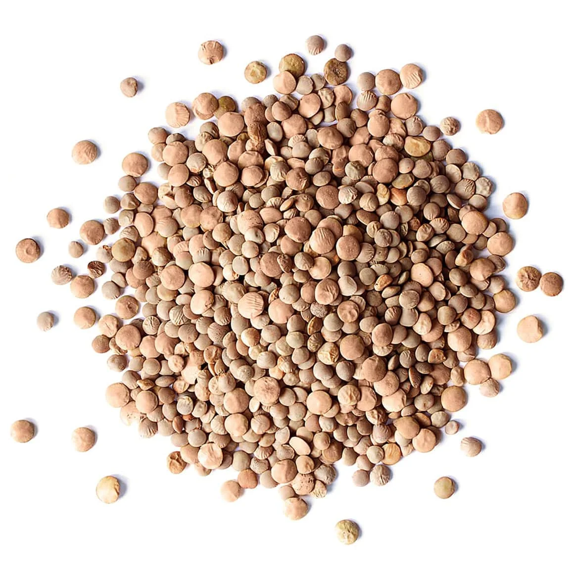 Australia Red Whole Lentils Yellow Green Light Style Organic Color Weight Shelf Origin Type Life Size Bright Colour Product Dry