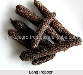 1_Long_Pepper.jpg