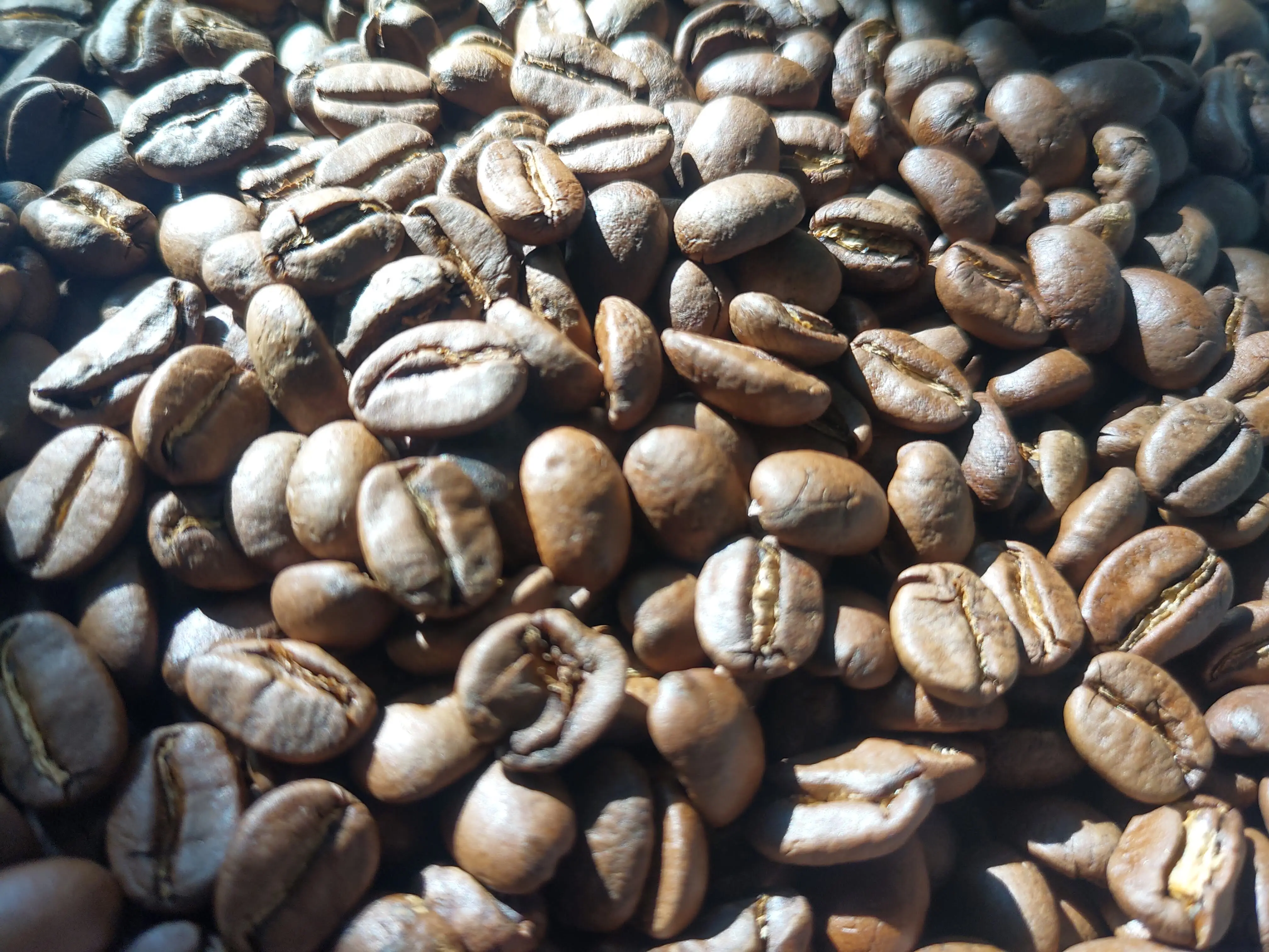 Wholesale price Green Bean Coffee Arabica Specialty Coffee Beans Roaster  Roasted Vietnam Coffee Beans