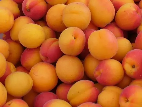 Apricots-Cancler.jpg