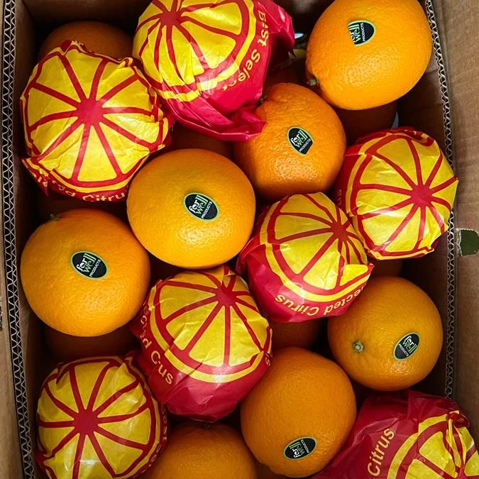 Valencia orange with premium quality