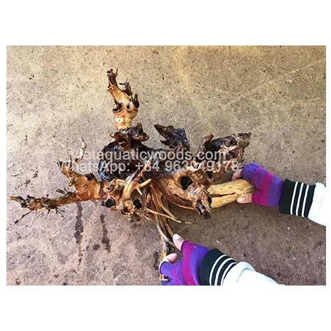 Горячие товары 2024 кимчи натуральный коряги во Вьетнаме используется для аквариумов и аксессуаров WhatsApp 84 963 949 178