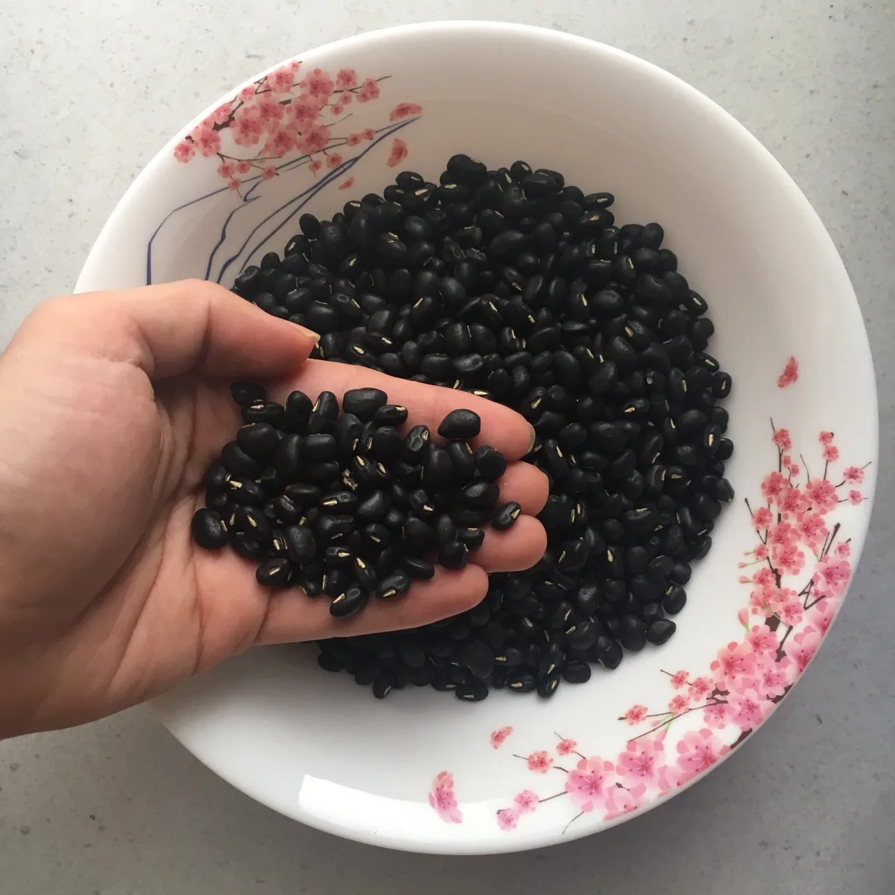 
Dried black bean ( SA QUATIC) 