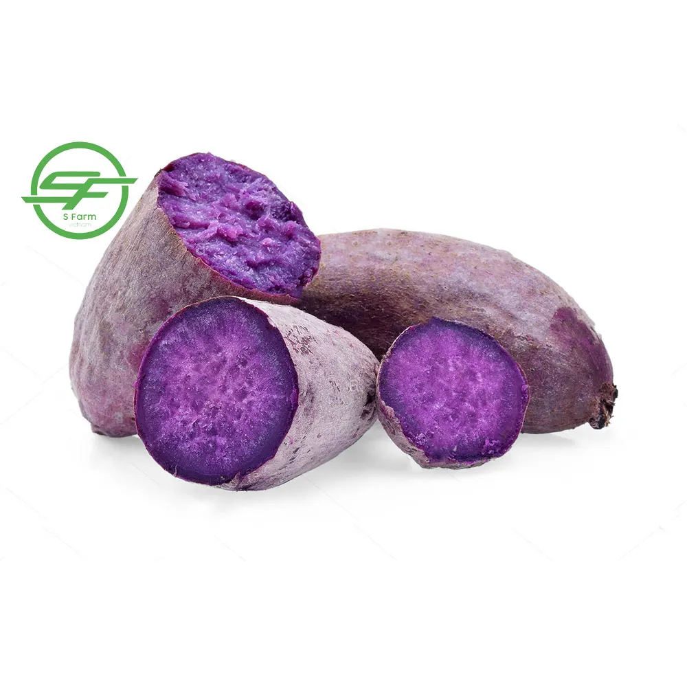  Хорошая цена фиолетовый сладкий картофель (Whatsapp/zalo/wechat: + 84 912 964 858)