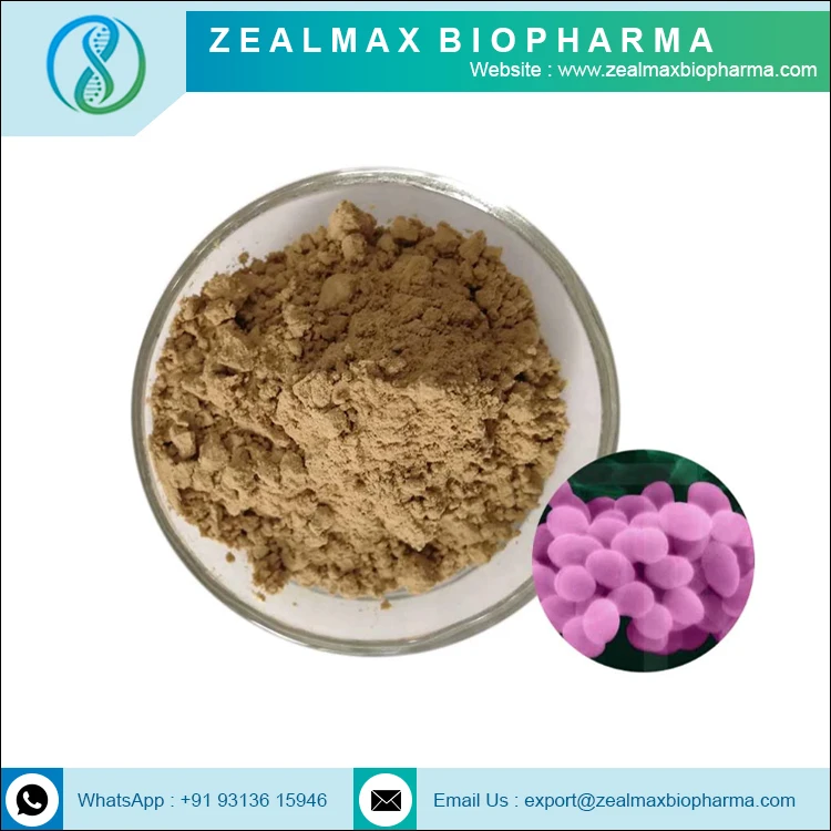 Bacillus Subtilis New Arrival Good Price OEM High Quality Bulk Probiotics Bacillus Subtilis Probiotic - Zealmax Biopharma